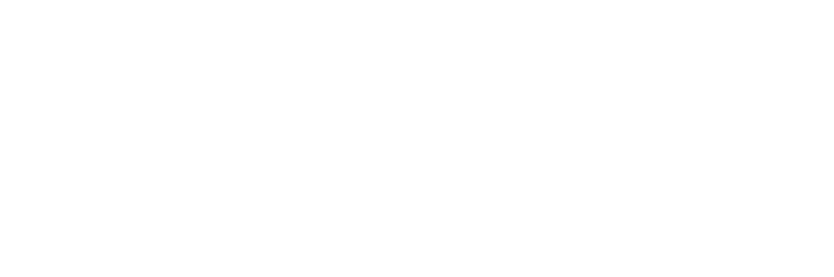 schobel digital: Digitale Lösungen für ambitionierte Unternehmen